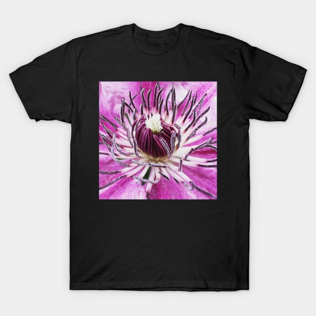 Clematis viticella Italian Leather Flower T-Shirt by CyriocosmusE